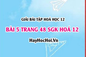 Giải bài 5 trang 48 SGK Hoá 12: Tính chất hoá học của Amino Axit